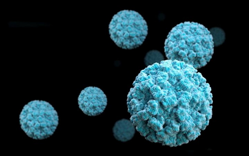 Science：攻克长达48年的难题，首次在人类肠道细胞培养诺如病毒