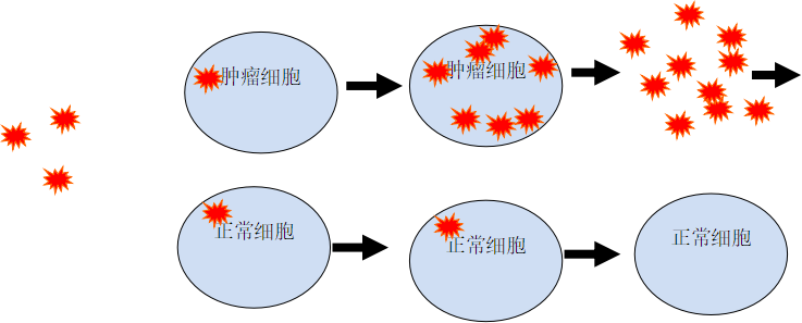 图片7.png 图片7.png