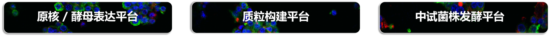 图片4.png 图片4.png