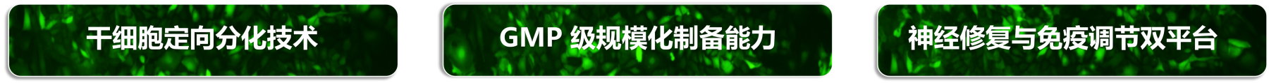 干细胞-1.png