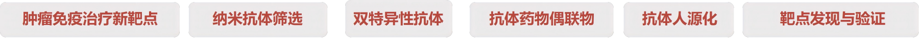 抗体 2.png