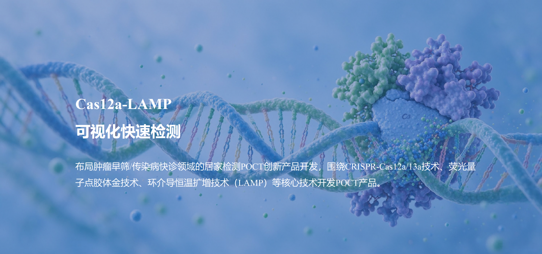 lamp-1(1).png