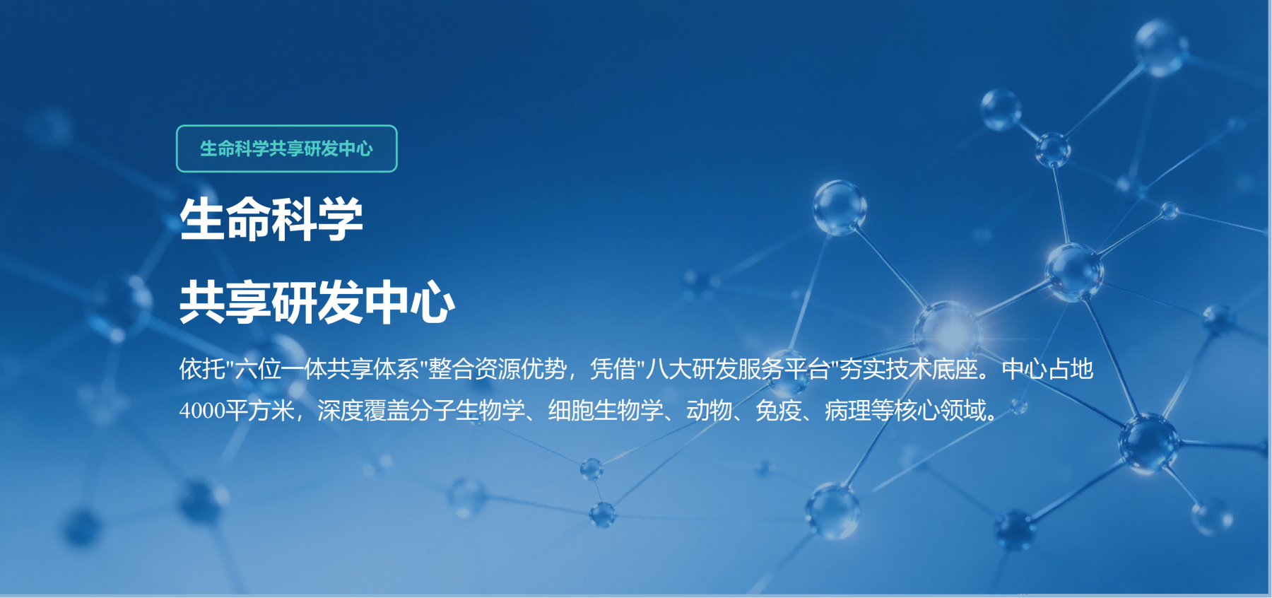 中心1(1).png