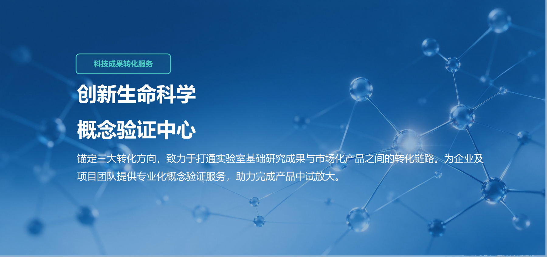 概念验证(1).png 概念验证(1).png