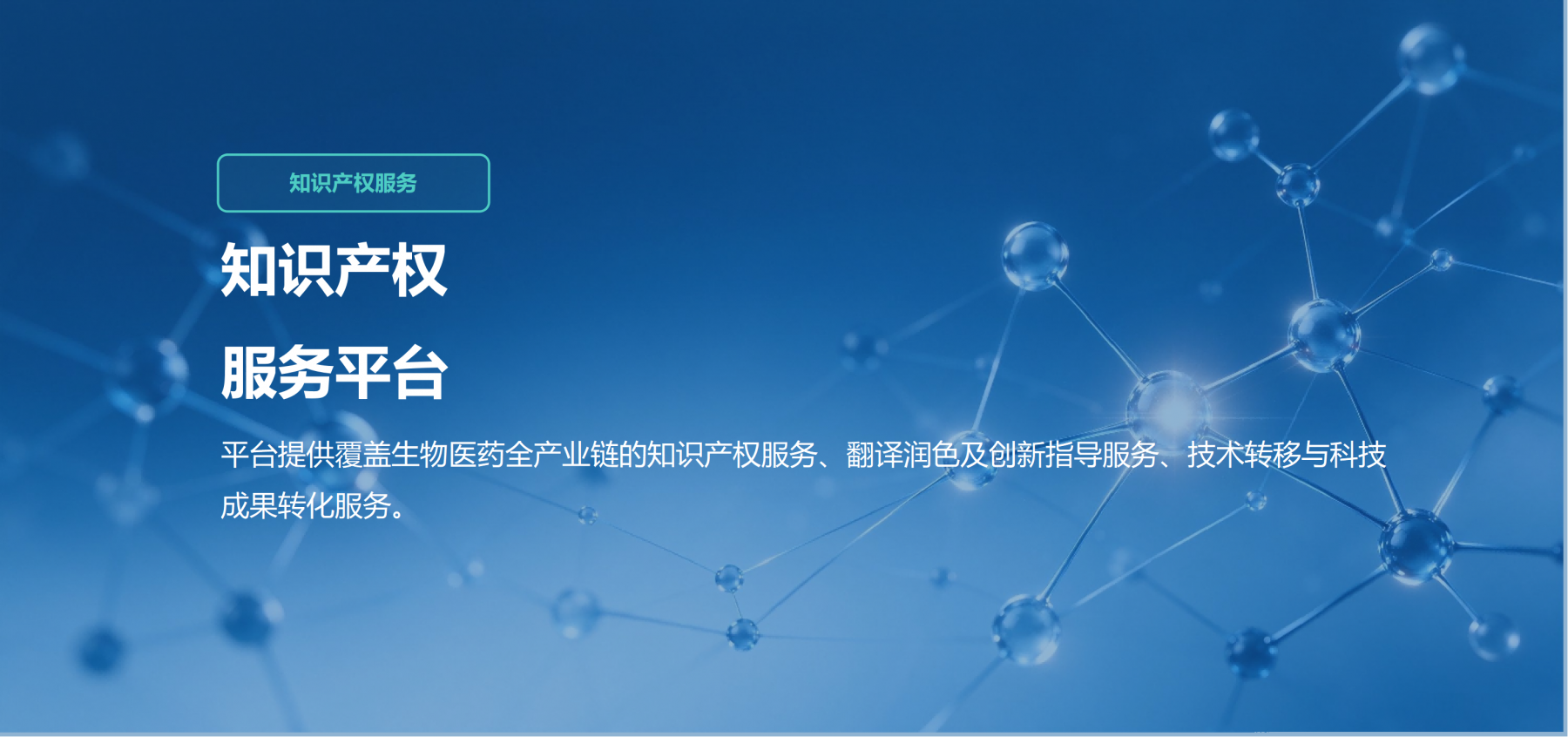 知识产权1(1).png